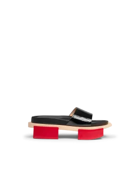 Cap Ferret Slides