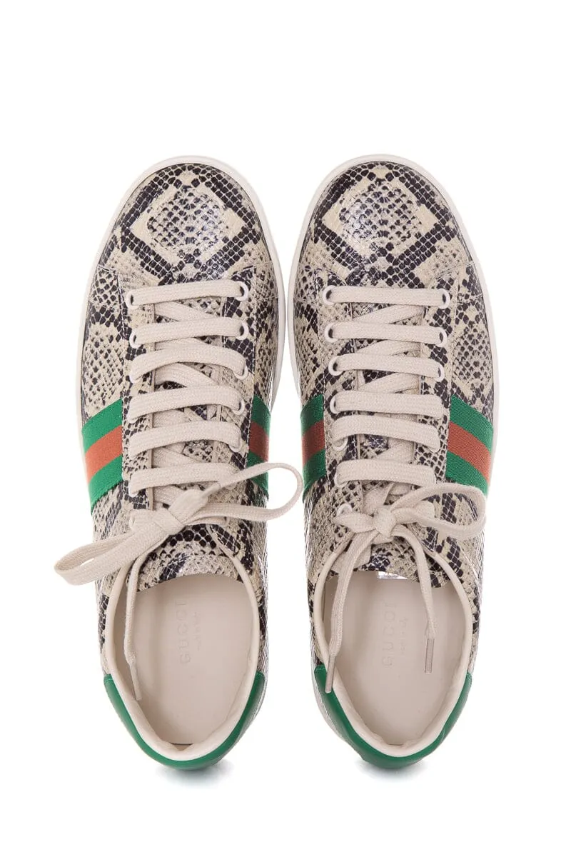 Gucci Python Men's Ace Sneakers SZ 39.5